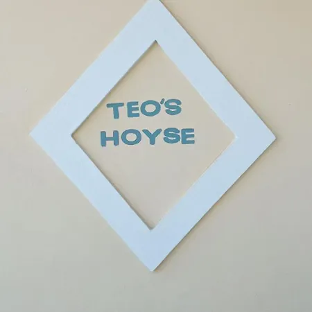 Apartament Teo's House 1 *